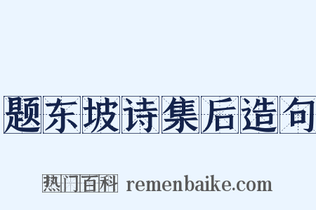题东坡诗集后造句是什么意思的图片